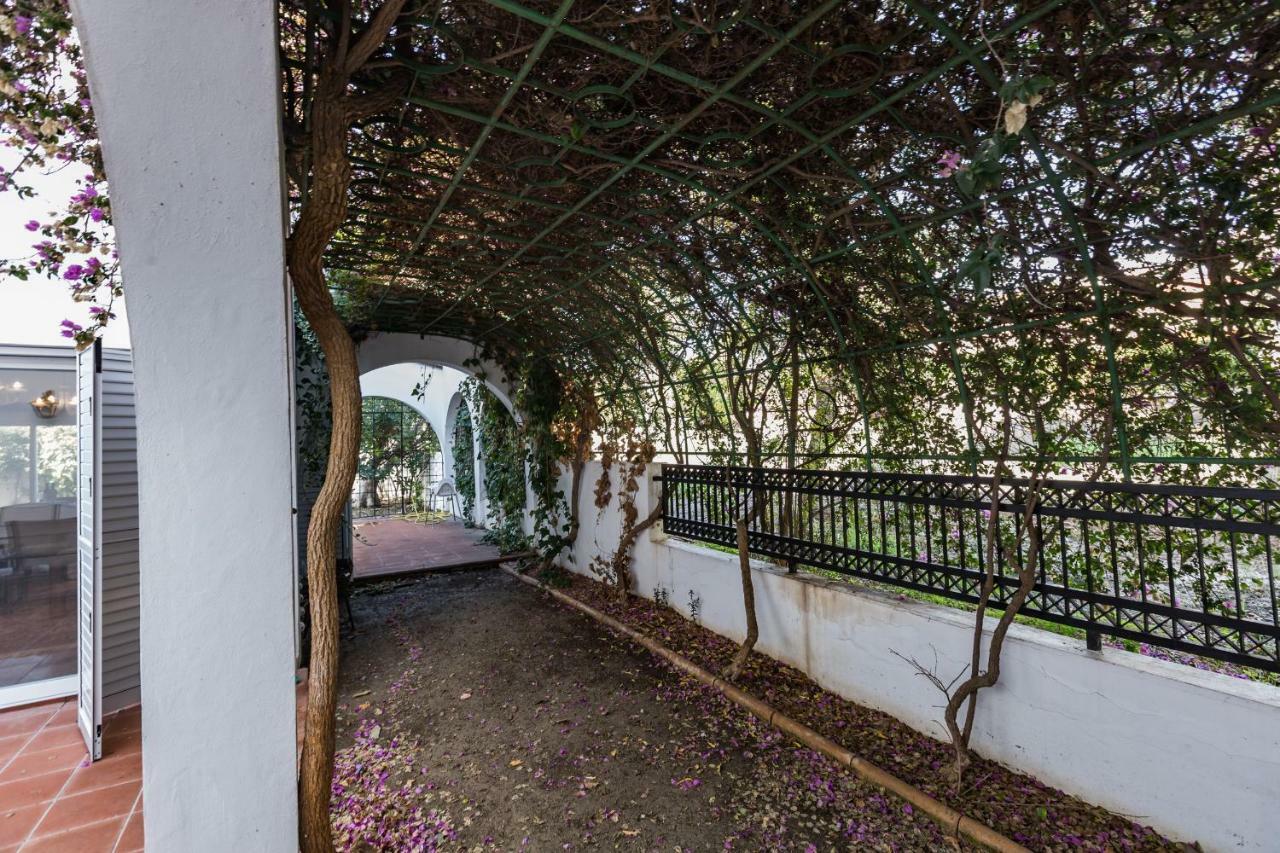 Villa Papaya Residence بافوس المظهر الخارجي الصورة